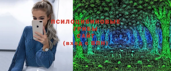винт Аркадак