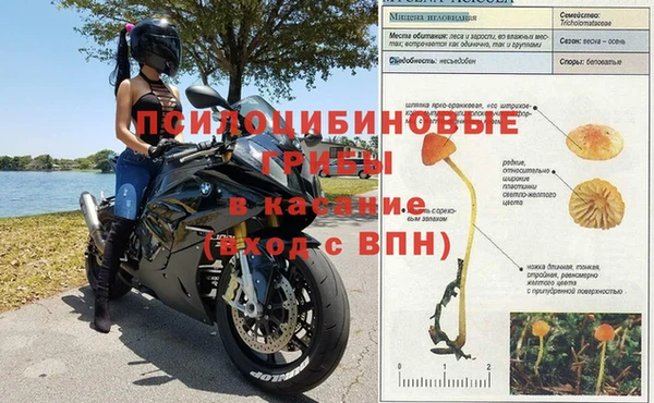 винт Аркадак