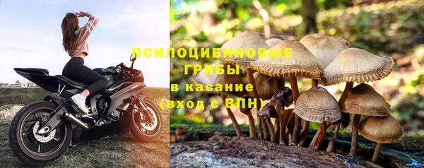 каннабис Армянск