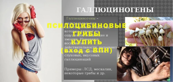 винт Аркадак