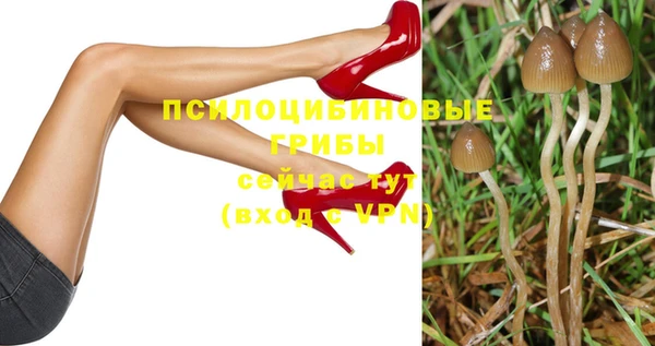 Альфа ПВП Арсеньев