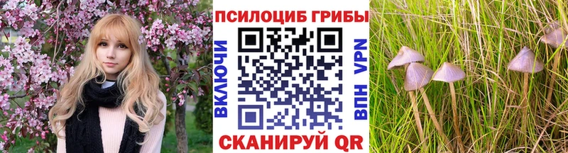дарк нет телеграм  гидра tor  Сальск  Галлюциногенные грибы Magic Shrooms 
